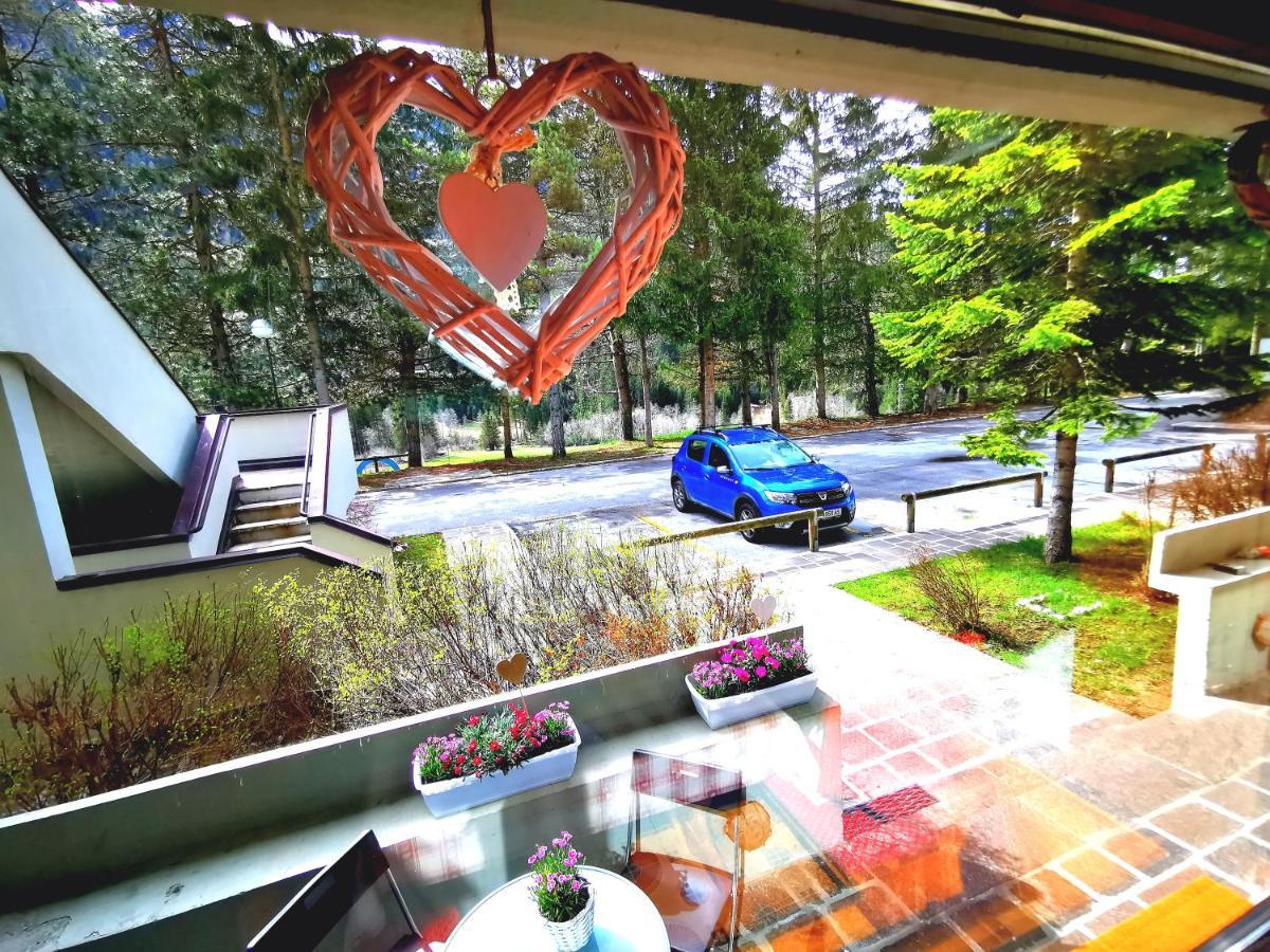 Dapolo - Cosy Appartment In Val Di Fassa Campestrin ภายนอก รูปภาพ
