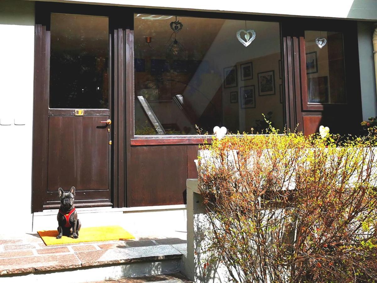 Dapolo - Cosy Appartment In Val Di Fassa Campestrin ภายนอก รูปภาพ